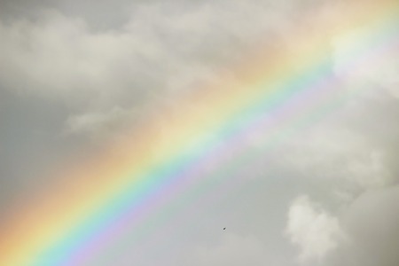 bright colorful wide colorful rainbow after the storm in the gray sky.の写真素材