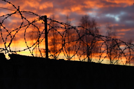 barbed wire on the fence on the background of sunsetの写真素材