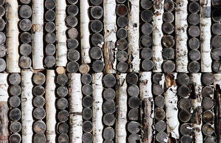 texture of birch logs stacked pattern on the walls of the house.の写真素材