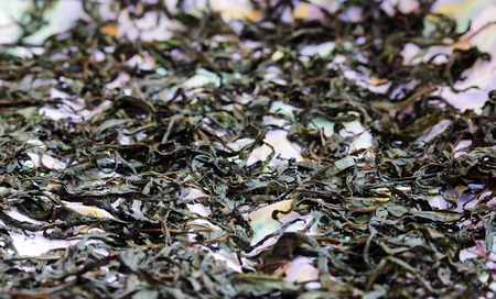 Willow herb Epilobium angustifolium tea background, drying herbs at homeの写真素材