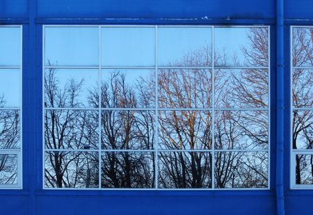 trees lit by the setting sun and reflected in the windows of a large sports complex