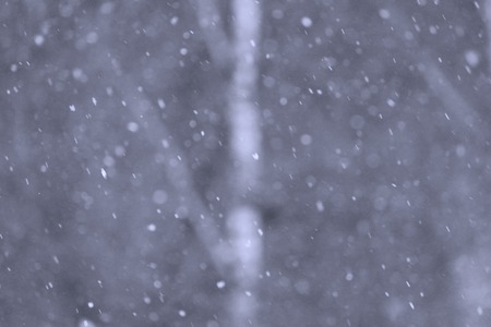 Winter christmas forest with falling white snowの写真素材