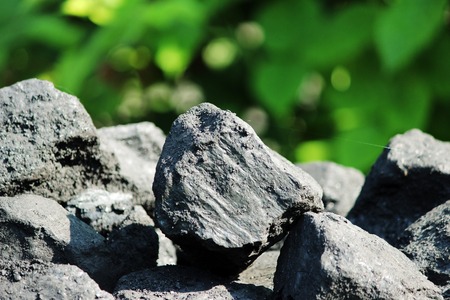 Black shiny faceted pieces Charcoal lies on a background of green grass.の写真素材