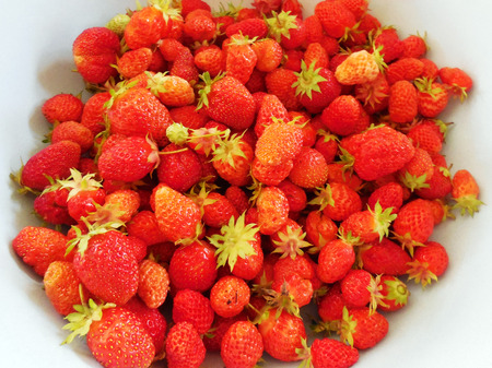 Group of red delicious strawberries on white plateの写真素材