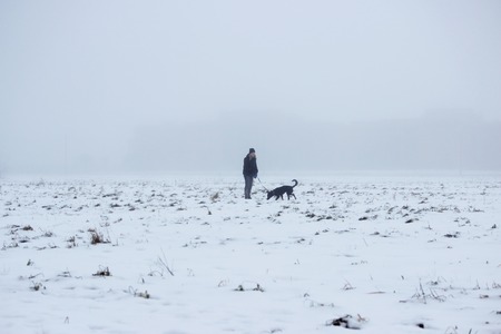 girl and dog walk on a vacant lot in the fog in the morningの写真素材