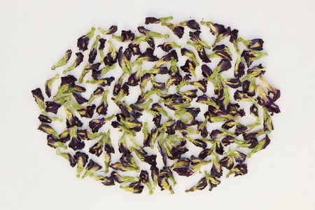 Dry buds plants Clitoria ternatea for making blue thai teaの写真素材