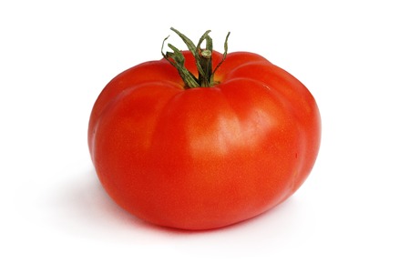 isolated red tomato with green tail on a white background from homemade greenhouse.の写真素材