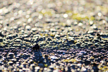 asphalt texture on an old abandoned highway