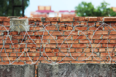 Barbed wire on a background of red brick wall.の写真素材