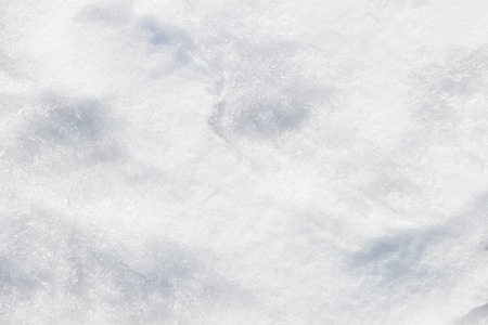 background of fresh white wet snow winter outdoorの写真素材