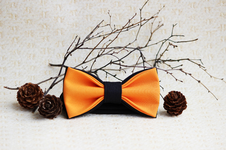 Composition: orange with a black bow tie, cones from a larch and a twig on a beige background.の写真素材