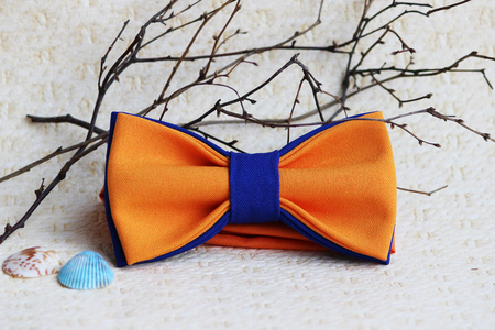 Composition: orange with a blue bow tie, colored seashells and a twig on a beige background.の写真素材