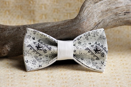 Composition: Extravagant beige with a black small pattern of a bow tie and a wooden stick curve on a beige backgroundの写真素材