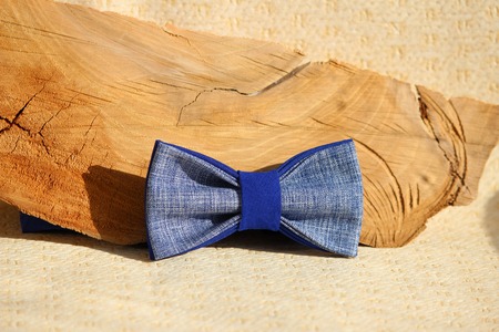 Composition: Extravagant blue bow tie and wooden stick curve on a beige background.の写真素材