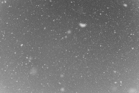Black and white Falling snow flakes during the snowfall from the skyの写真素材