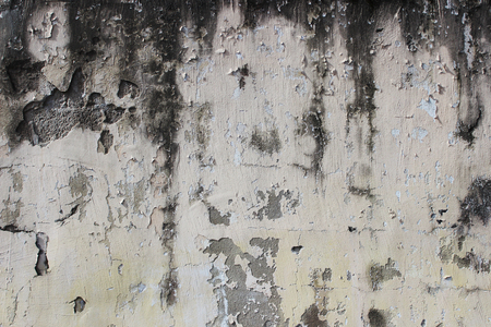 old beige wall with peeling plaster for background.の写真素材