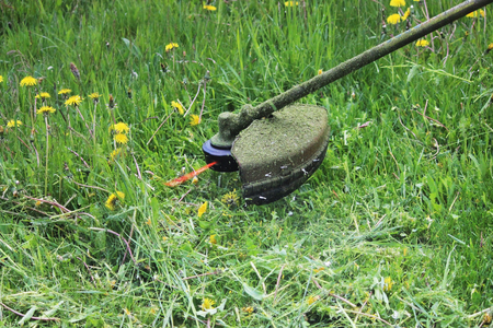Worker mowing grass with a trimming machine.の写真素材