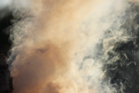 White smoke from the fire where wet boards and sawdust lie.の写真素材