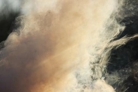 White smoke from the fire where wet boards and sawdust lie.の写真素材