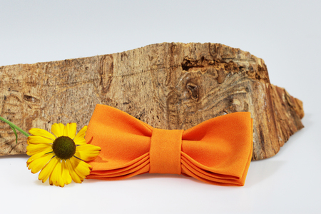 Composition: Extravagant orange bow tie, yellow flower and piece of sawn timber on a white backgroundの写真素材