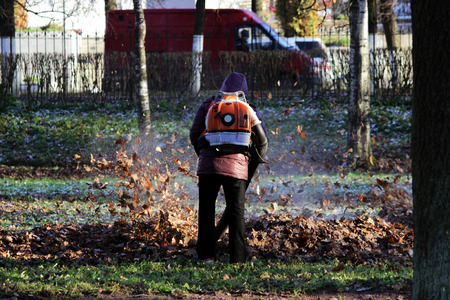 worker with industrial vacuum cleaner collect fallen maple and oak leaves in a heap.の写真素材