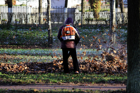 worker with industrial vacuum cleaner collect fallen maple and oak leaves in a heap.の写真素材