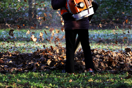 worker with industrial vacuum cleaner collect fallen maple and oak leaves in a heap.の写真素材