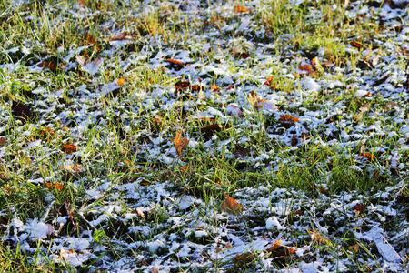 fresh first white snow winter outdoor on the surface of the grass.の写真素材