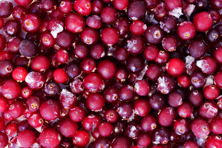 many red frozen cranberries with ice cubesの写真素材