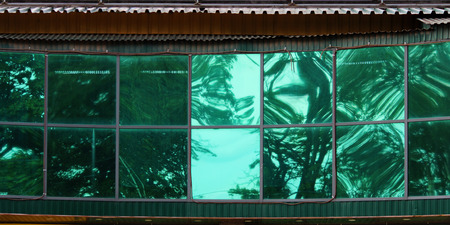 Large green glass windows in the city shopping center.の写真素材