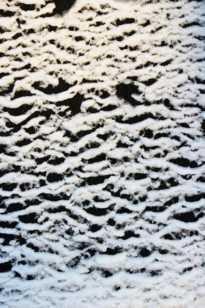 abstract Ice texture Winter background white snowの写真素材