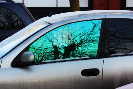 reflection of a tree in a tinted green car windowの写真素材