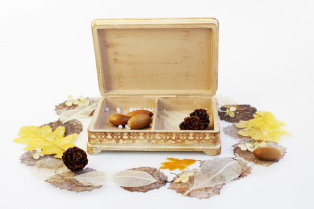 open wooden hand-made box with skeletonized leaves, acorns and cones on a white backgroundの写真素材
