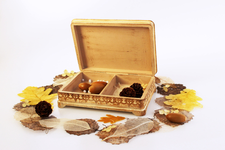 open wooden hand-made box with skeletonized leaves, acorns and cones on a white backgroundの写真素材