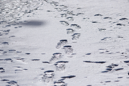 traces of a man on white snow in the winter.の写真素材