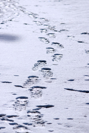 traces of a man on white snow in the winter. vertical arrangementの写真素材