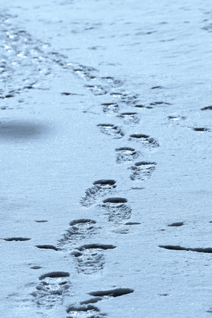 traces of a man on white snow in the winter. vertical arrangementの写真素材