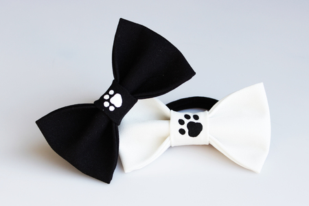 two beautiful black and white small butterfly made of cloth on the hair bands to create a hairstyle on the head, with fingerprints of cat tracks. acrylic paint, handmadeの写真素材