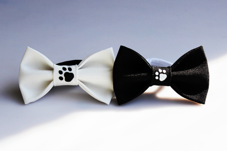 two beautiful black and white small butterfly made of cloth on the hair bands to create a hairstyle on the head, with fingerprints of cat tracks. acrylic paint, handmadeの写真素材