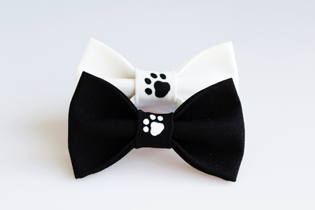 two beautiful black and white small butterfly made of cloth on the hair bands to create a hairstyle on the head, with fingerprints of cat tracks. acrylic paint, handmadeの写真素材