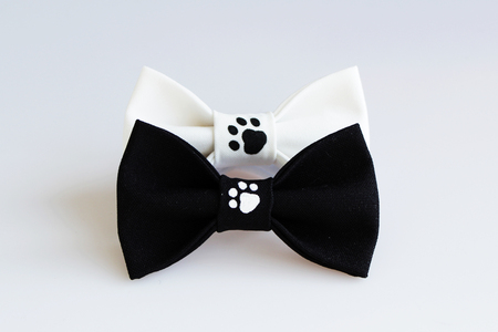 two beautiful black and white small butterfly made of cloth on the hair bands to create a hairstyle on the head, with fingerprints of cat tracks. acrylic paint, handmadeの写真素材