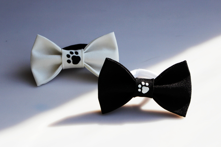 two beautiful black and white small butterfly made of cloth on the hair bands to create a hairstyle on the head, with fingerprints of cat tracks. acrylic paint, handmadeの写真素材
