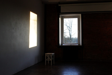 rectangular light from the window in a dark photo studio. in the window there is a tree that grows on the street.の写真素材