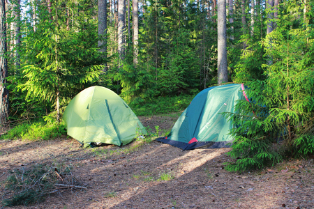 two touring green tents in a mixed coniferous forest. the beginning of June, the Leningrad Region, the reserve.の写真素材