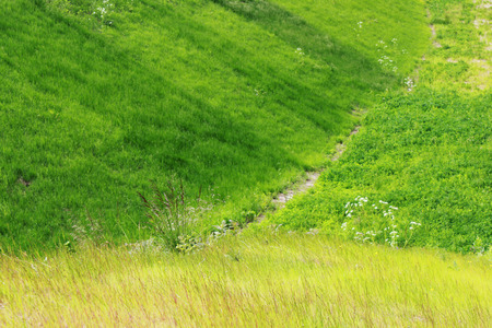 Green grass planted especially on the slope and in the roadside of a wide highway.の写真素材