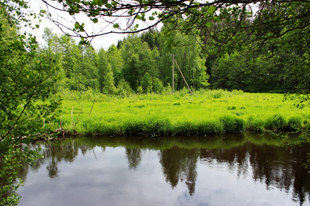 A juicy green grass sedge grows on the shore of a dam in front of a hydroelectric power stationの写真素材