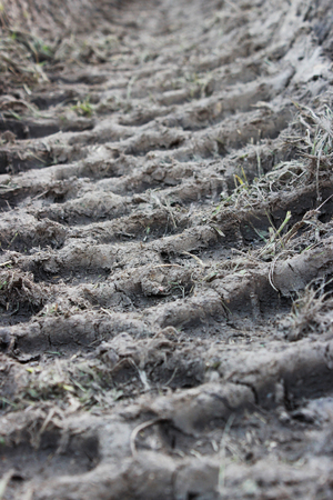 traces of heavy machinery tractor in the sandの写真素材