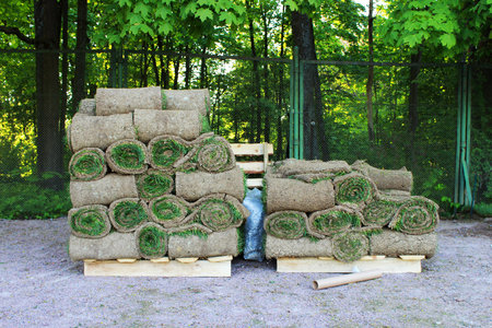 stacks of sod rolls for new lawn in the Gatchina parkの写真素材