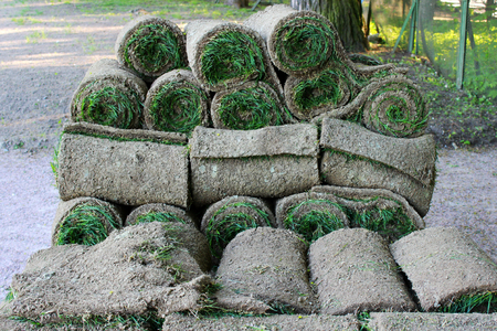 stacks of sod rolls for new lawn in the Gatchina parkの写真素材