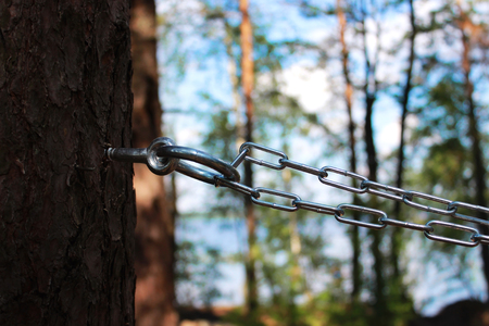 chain and ring to the pine for fixing a person and flogging. concept of sadomasochism, reportage photographyの写真素材